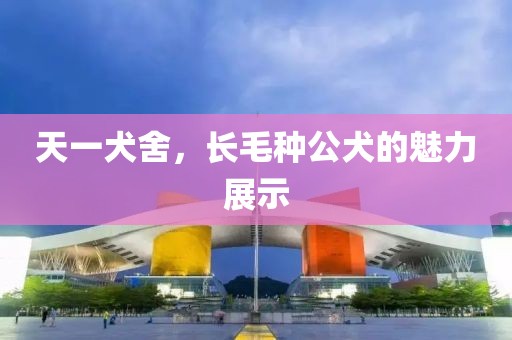 天一犬舍，長(zhǎng)毛種公犬的魅力展示