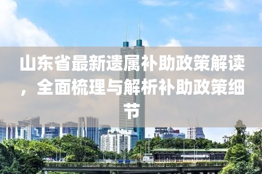 山東省最新遺屬補助政策解讀，全面梳理與解析補助政策細(xì)節(jié)