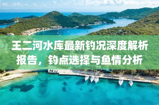 王二河水庫最新釣況深度解析報告，釣點選擇與魚情分析
