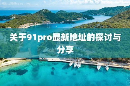 關(guān)于91pro最新地址的探討與分享