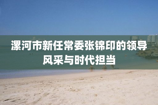 漯河市新任常委張錦印的領(lǐng)導(dǎo)風(fēng)采與時(shí)代擔(dān)當(dāng)