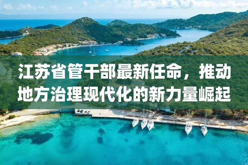 江蘇省管干部最新任命，推動地方治理現(xiàn)代化的新力量崛起
