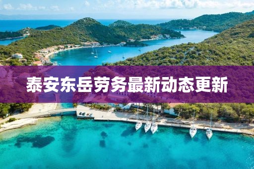 泰安東岳勞務(wù)最新動態(tài)更新