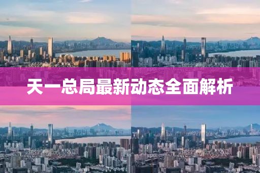 天一總局最新動態(tài)全面解析