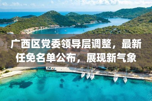 廣西區(qū)黨委領(lǐng)導(dǎo)層調(diào)整，最新任免名單公布，展現(xiàn)新氣象