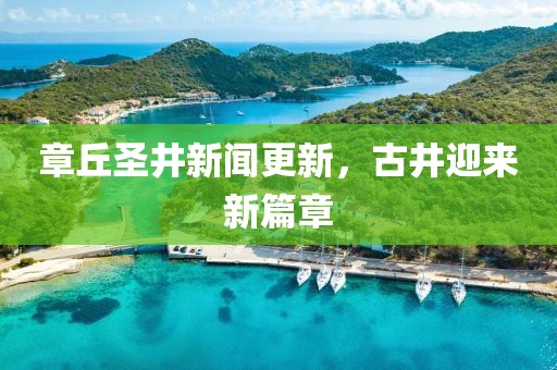 2025年2月 第384頁