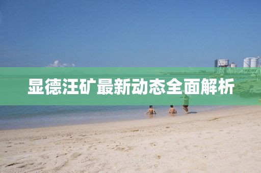 顯德汪礦最新動(dòng)態(tài)全面解析