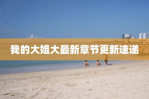 我的大姐大最新章節(jié)更新速遞