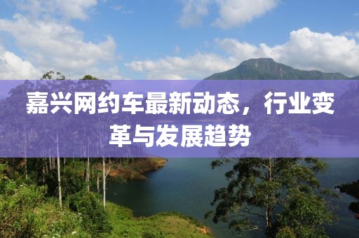 嘉興網(wǎng)約車最新動態(tài)，行業(yè)變革與發(fā)展趨勢