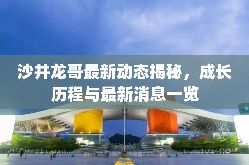 沙井龍哥最新動態(tài)揭秘，成長歷程與最新消息一覽
