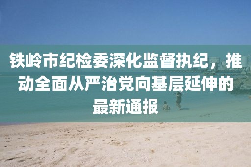 鐵嶺市紀(jì)檢委深化監(jiān)督執(zhí)紀(jì)，推動(dòng)全面從嚴(yán)治黨向基層延伸的最新通報(bào)