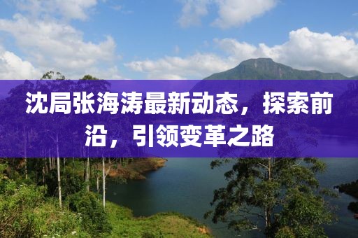 沈局張海濤最新動態(tài)，探索前沿，引領(lǐng)變革之路