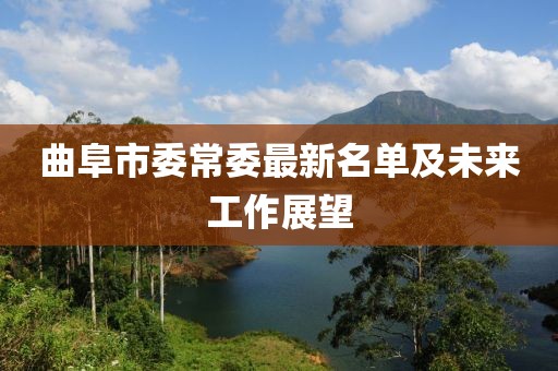 曲阜市委常委最新名單及未來(lái)工作展望