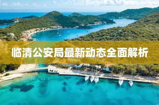 臨清公安局最新動態(tài)全面解析