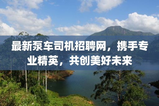 最新泵車司機(jī)招聘網(wǎng)，攜手專業(yè)精英，共創(chuàng)美好未來
