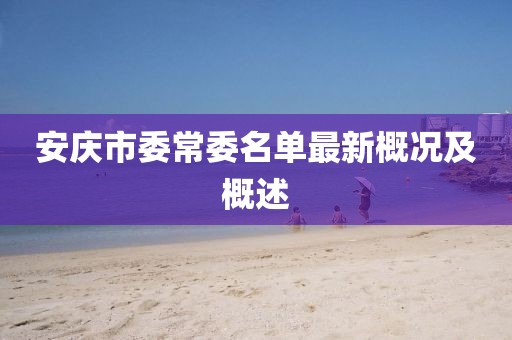 安慶市委常委名單最新概況及概述