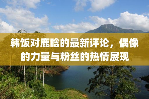 韓飯對(duì)鹿晗的最新評(píng)論，偶像的力量與粉絲的熱情展現(xiàn)