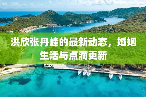 洪欣張丹峰的最新動(dòng)態(tài)，婚姻生活與點(diǎn)滴更新
