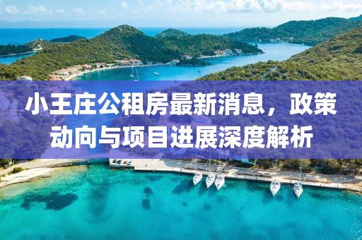 小王莊公租房最新消息，政策動向與項目進展深度解析