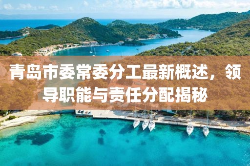 青島市委常委分工最新概述，領導職能與責任分配揭秘