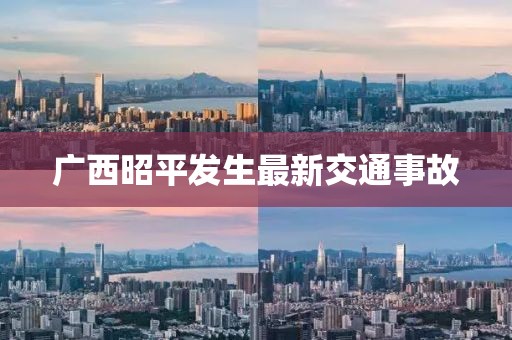 廣西昭平發(fā)生最新交通事故