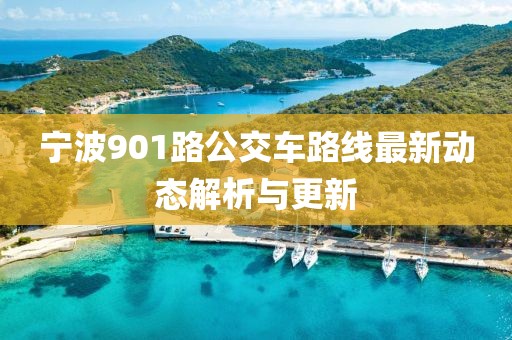 寧波901路公交車路線最新動態(tài)解析與更新