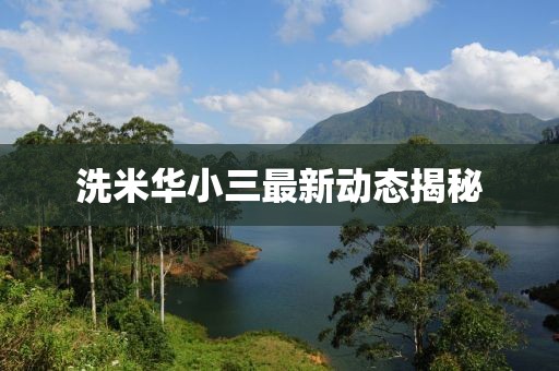 洗米華小三最新動態(tài)揭秘