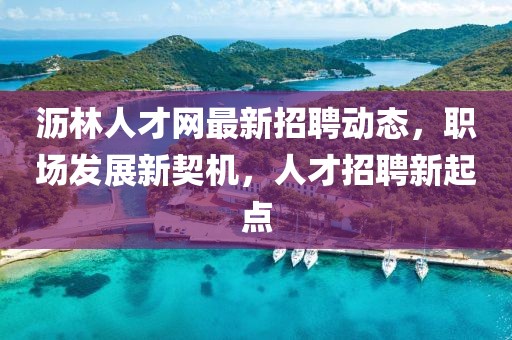 瀝林人才網最新招聘動態(tài)，職場發(fā)展新契機，人才招聘新起點