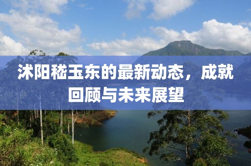 沭陽嵇玉東的最新動(dòng)態(tài)，成就回顧與未來展望