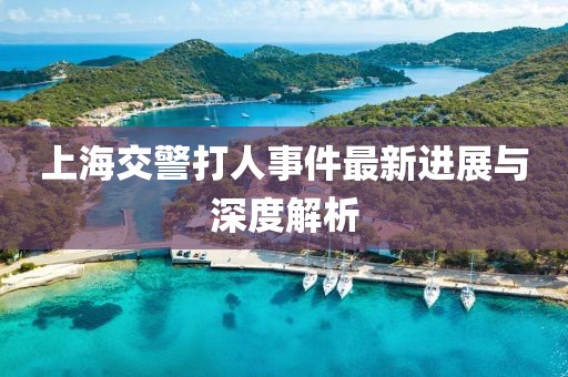 上海交警打人事件最新進(jìn)展與深度解析