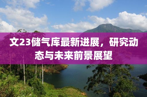 文23儲(chǔ)氣庫(kù)最新進(jìn)展，研究動(dòng)態(tài)與未來(lái)前景展望