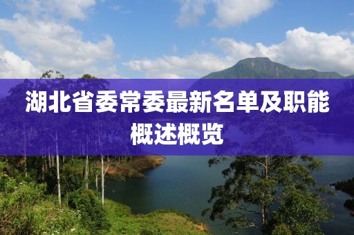 湖北省委常委最新名單及職能概述概覽