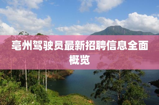 亳州駕駛員最新招聘信息全面概覽