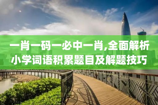 一肖一碼一必中一肖,全面解析小學詞語積累題目及解題技巧