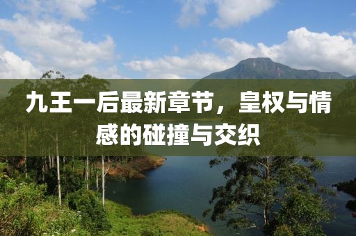 九王一后最新章節(jié)，皇權(quán)與情感的碰撞與交織
