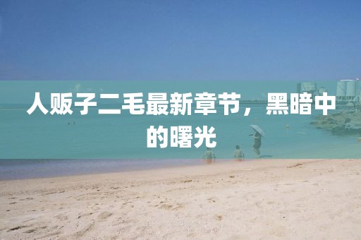 人販子二毛最新章節(jié)，黑暗中的曙光