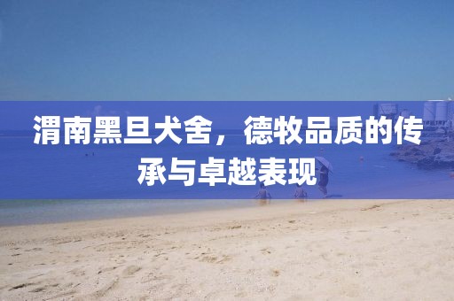 渭南黑旦犬舍，德牧品質(zhì)的傳承與卓越表現(xiàn)