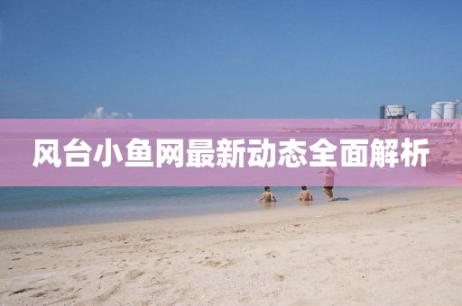 風(fēng)臺(tái)小魚(yú)網(wǎng)最新動(dòng)態(tài)全面解析