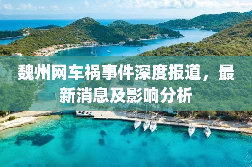 魏州網(wǎng)車禍?zhǔn)录疃葓?bào)道，最新消息及影響分析