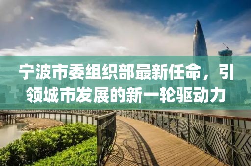 寧波市委組織部最新任命，引領(lǐng)城市發(fā)展的新一輪驅(qū)動力