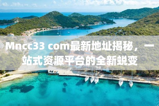 Mncc33 com最新地址揭秘，一站式資源平臺(tái)的全新蛻變