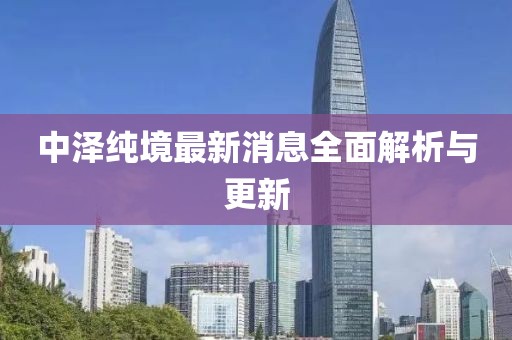 中澤純境最新消息全面解析與更新