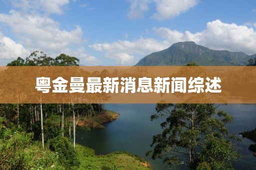 粵金曼最新消息新聞綜述