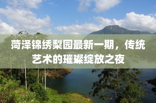 菏澤錦繡梨園最新一期，傳統(tǒng)藝術(shù)的璀璨綻放之夜