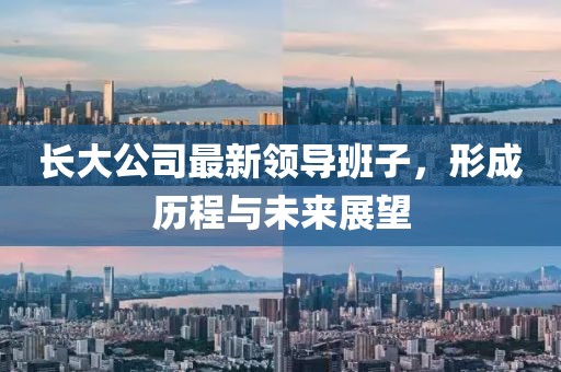 長(zhǎng)大公司最新領(lǐng)導(dǎo)班子，形成歷程與未來(lái)展望