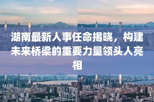 湖南最新人事任命揭曉，構(gòu)建未來橋梁的重要力量領(lǐng)頭人亮相