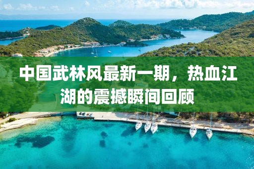 中國(guó)武林風(fēng)最新一期，熱血江湖的震撼瞬間回顧