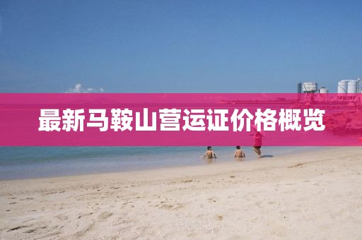 最新馬鞍山營(yíng)運(yùn)證價(jià)格概覽