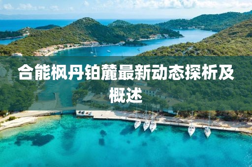 合能楓丹鉑麓最新動態(tài)探析及概述