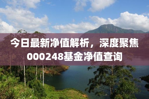 今日最新凈值解析，深度聚焦000248基金凈值查詢